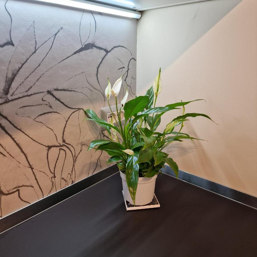 Corso Vittorio 364 Apartment Cagliari Luaran gambar